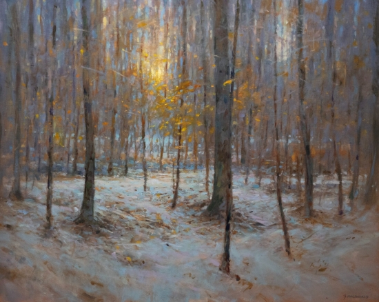 oil on linen, 24" x 30"